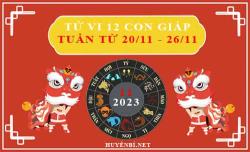 tu vi hang tuan tu 20 11 den 26 11 cua 12 con giap 2023 11 09 1