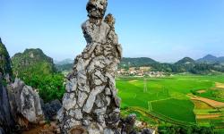 doc vong phu thach cua nguyen du 2023 11 21 1