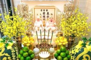 5f01cb32da7b33256a6a 1