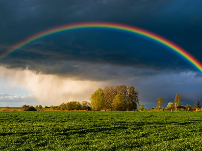 cầu vồng