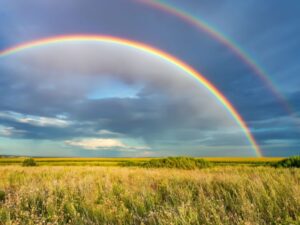 cầu vồng trên cánh đồng