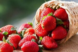 Khám phá bí mật thú vị: 12 cung hoàng đạo và loại trái cây đại diện