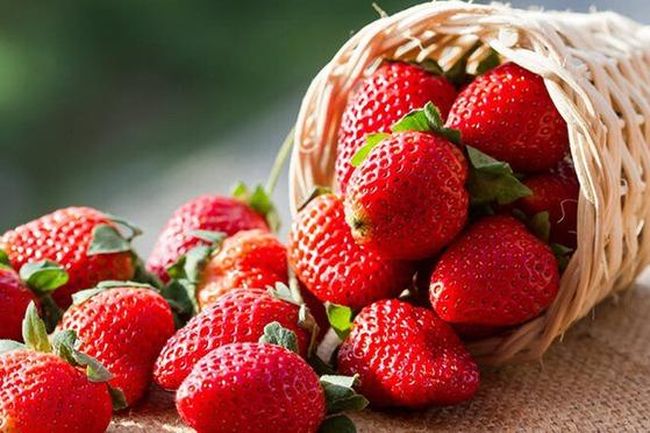 Khám phá bí mật thú vị: 12 cung hoàng đạo và loại trái cây đại diện