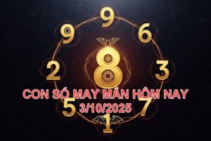 0df9c4e7ceae27f07ebf