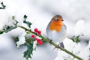 6b39999196d87f8626c9