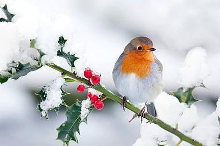 Tháng sinh Âm lịch của người hết lòng vì bạn bè 1 6b39999196d87f8626c9