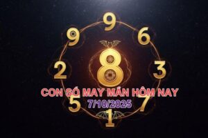 548e92c0fd8914d74d98