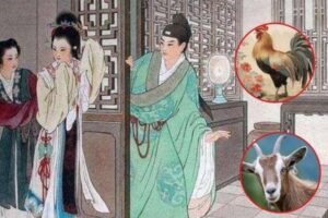 9b4ffc1ff95610084947