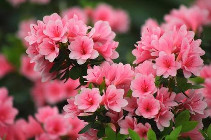 Ngày sinh Âm lịch: Bí quyết không lo thiếu tiền suốt cả đời 1 b028d2c7d68e3fd0669f