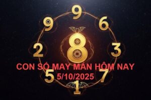 c7c27b447f0d9653cf1c