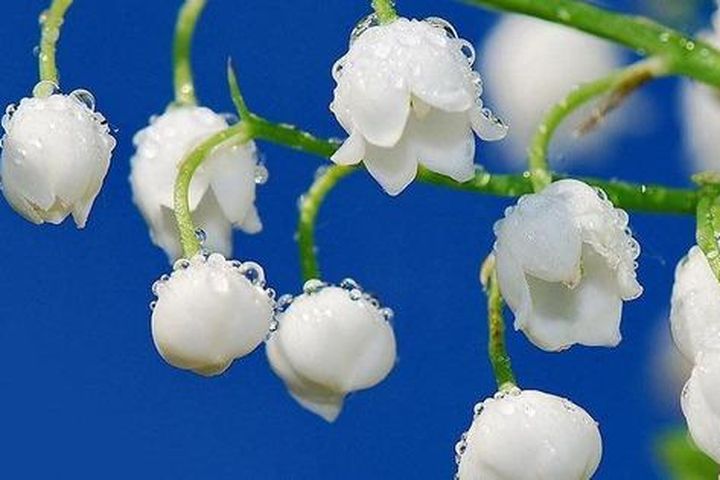 1553a6b1a7f84ea617e9