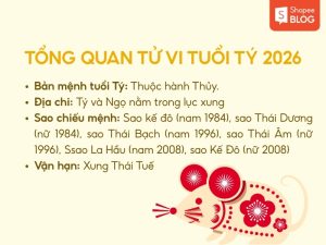 tử vi tuổi Tý 2026