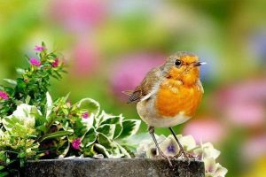 1f303346350fdc51851e