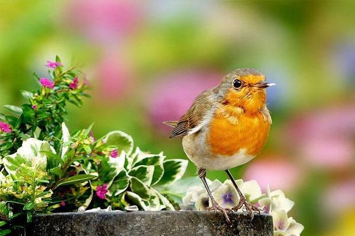 1f303346350fdc51851e