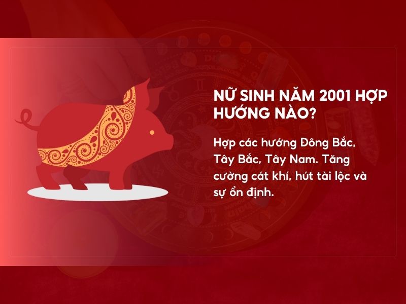 Nữ Tân Tỵ hợp hướng nào?