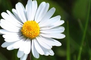 54575122506bb935e07a