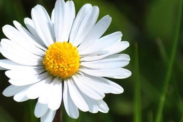 54575122506bb935e07a