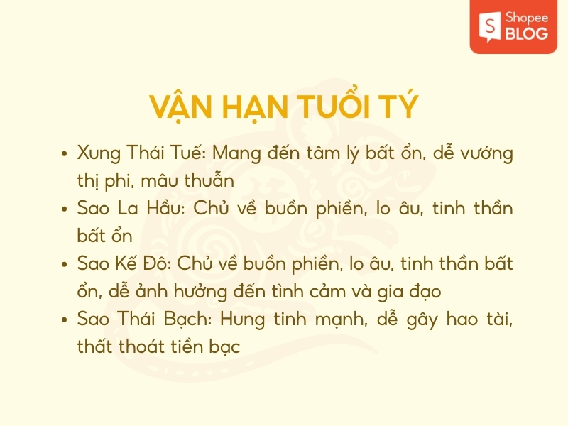 Tử vi tuổi Tý 2026 về vận hạn