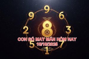 70a7a6a8a1e148bf11f0