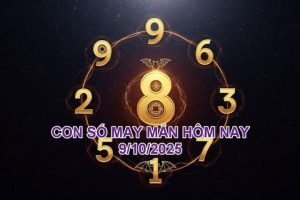 911509487d01945fcd10