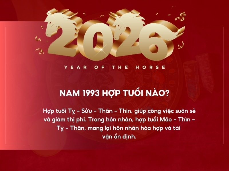 Nam 1993 hợp tuổi nào?