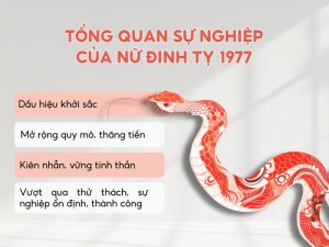 Sự nghiệp năm 2026 của tuổi Đinh Tỵ nữ mạng 1977