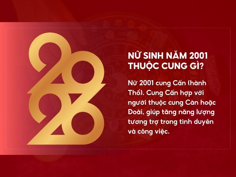 Nữ Tân Tỵ cung gì?