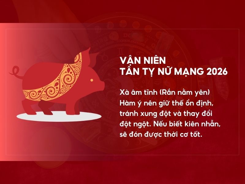 Vận niên tuổi Tân Tỵ
