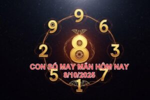 f756b2d8b4915dcf0480