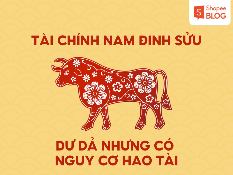 Tài chính nam 1997