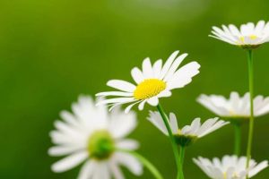 7beef9d4f89d11c3488c