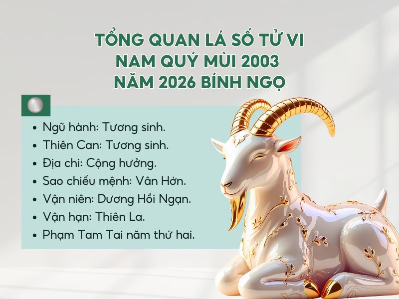 Tổng quan tử vi tuổi Quý Mùi nam mạng 2003 trong năm 2026