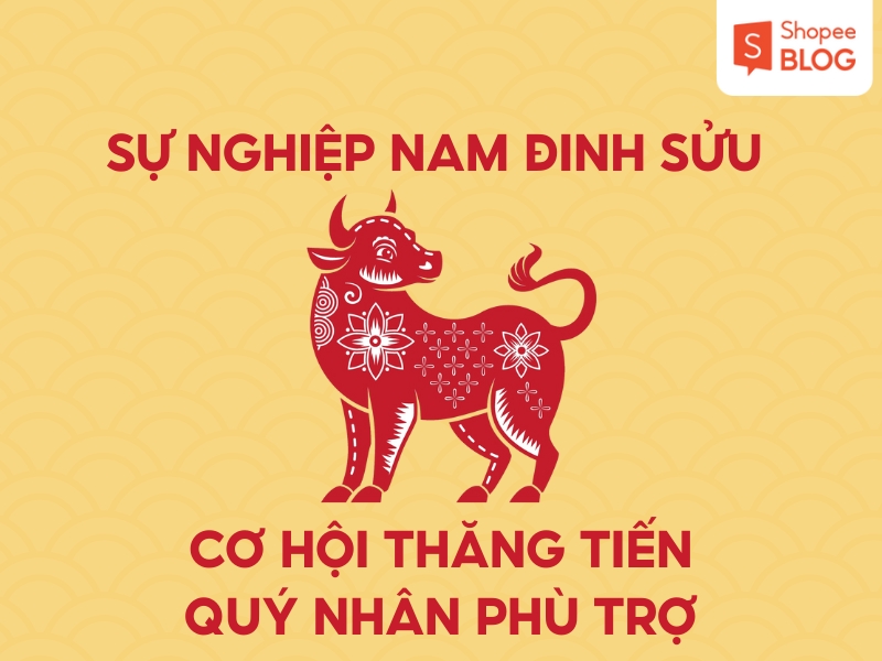 Sự nghiệp nam sinh năm 1997 năm 2026