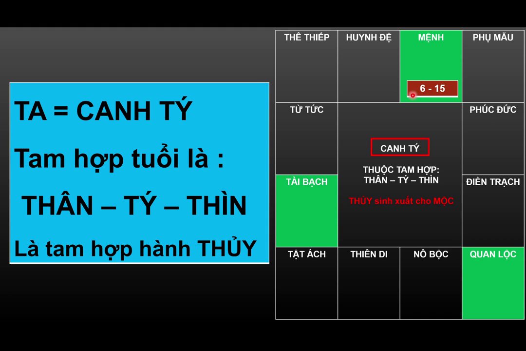 Minh họa về sự tương tác giữa âm dương, ngũ hành và các cung trong lá số tử vi.