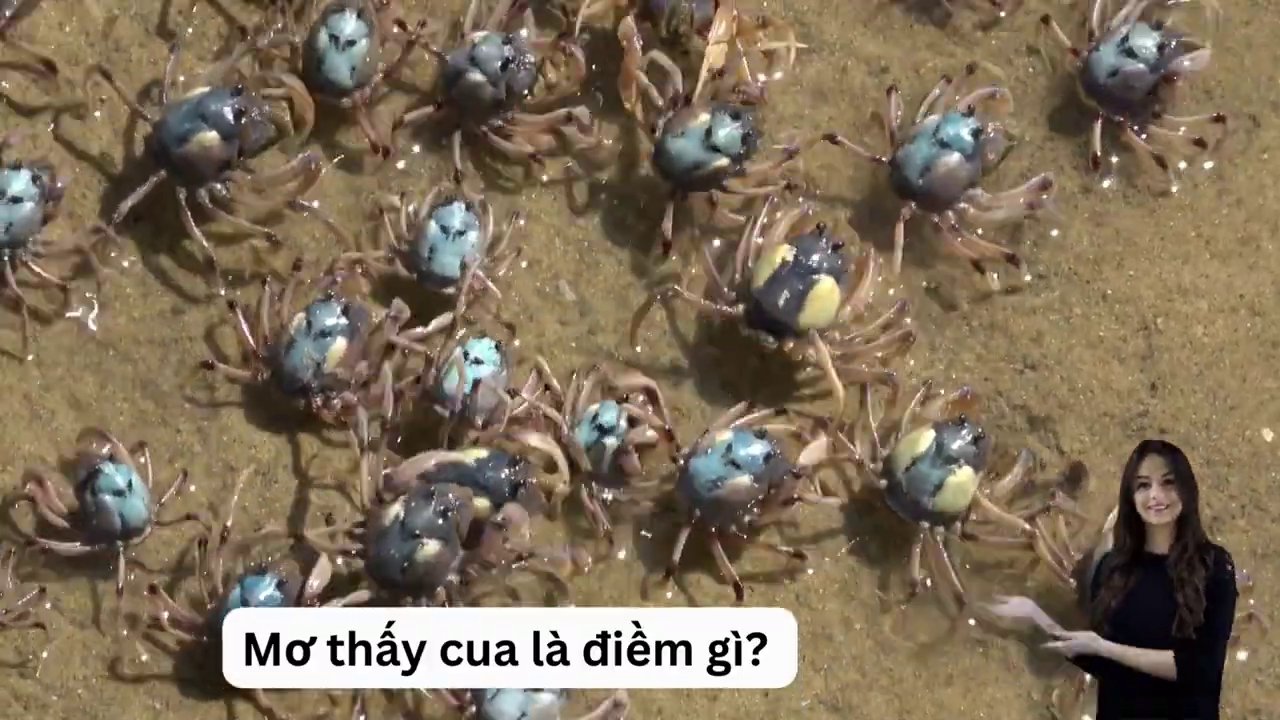 Hình ảnh minh họa một con cua trong giấc mơ, tượng trưng cho những thông điệp bí ẩn.