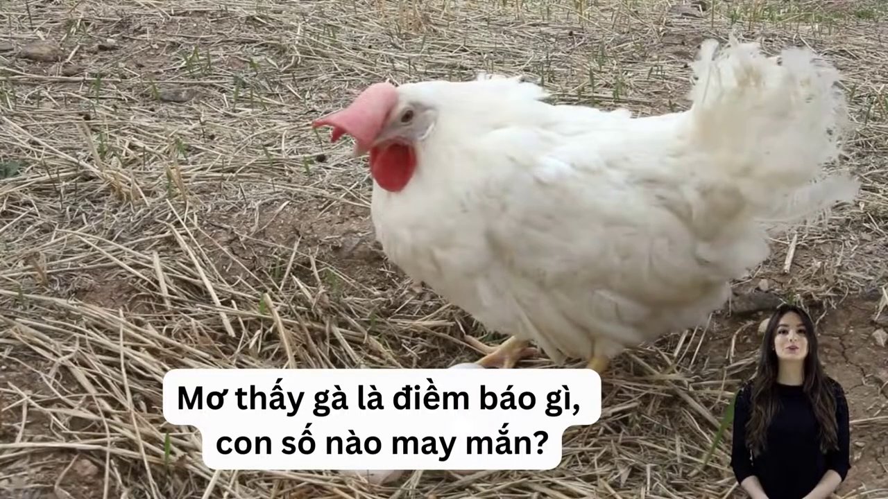 Hình ảnh những quả trứng gà tượng trưng cho sự sinh sôi, nảy nở và may mắn về gia đạo.