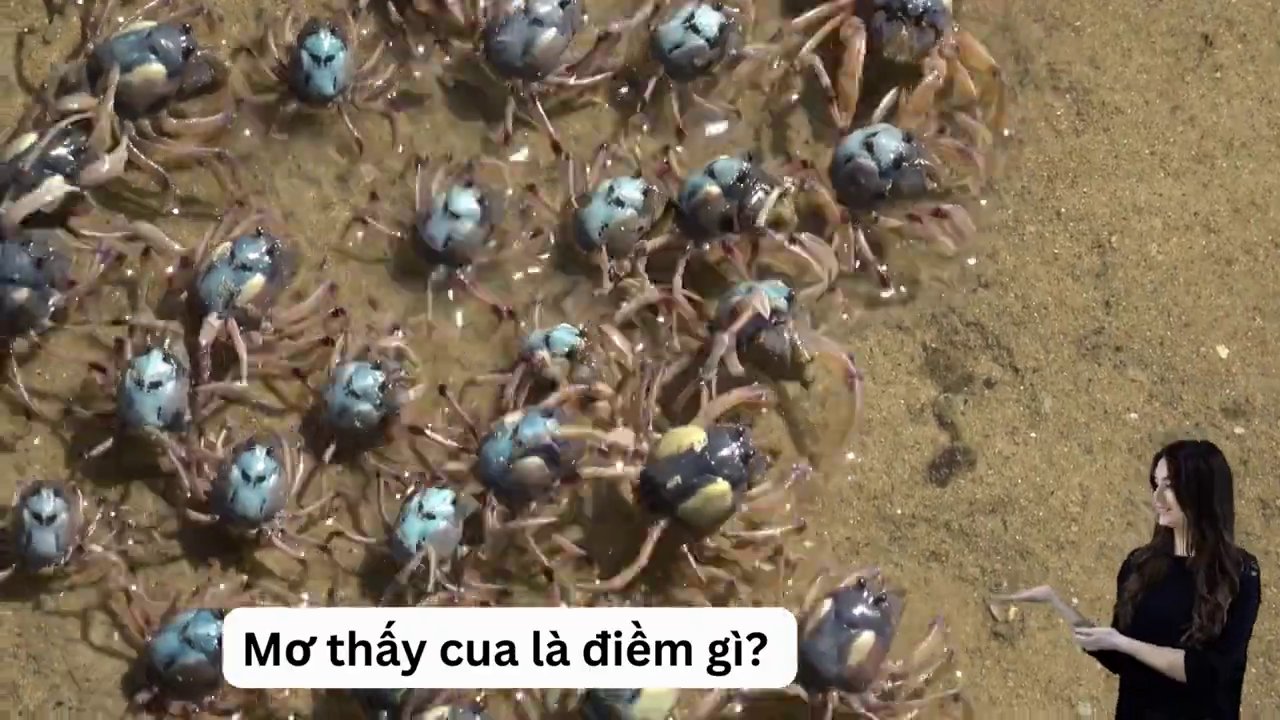 Hình ảnh minh họa giấc mơ cua lột xác, tượng trưng cho sự đổi mới và tái sinh.