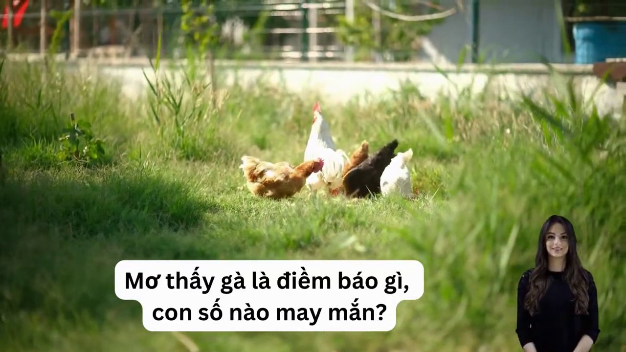 Hình ảnh đàn gà con quây quần bên gà mẹ, tượng trưng cho sự ấm no, đủ đầy và hạnh phúc gia đình.