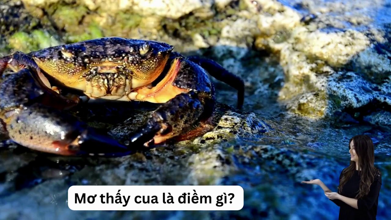 Hình ảnh minh họa giấc mơ cua khổng lồ, tượng trưng cho những dự án và hoài bão lớn.