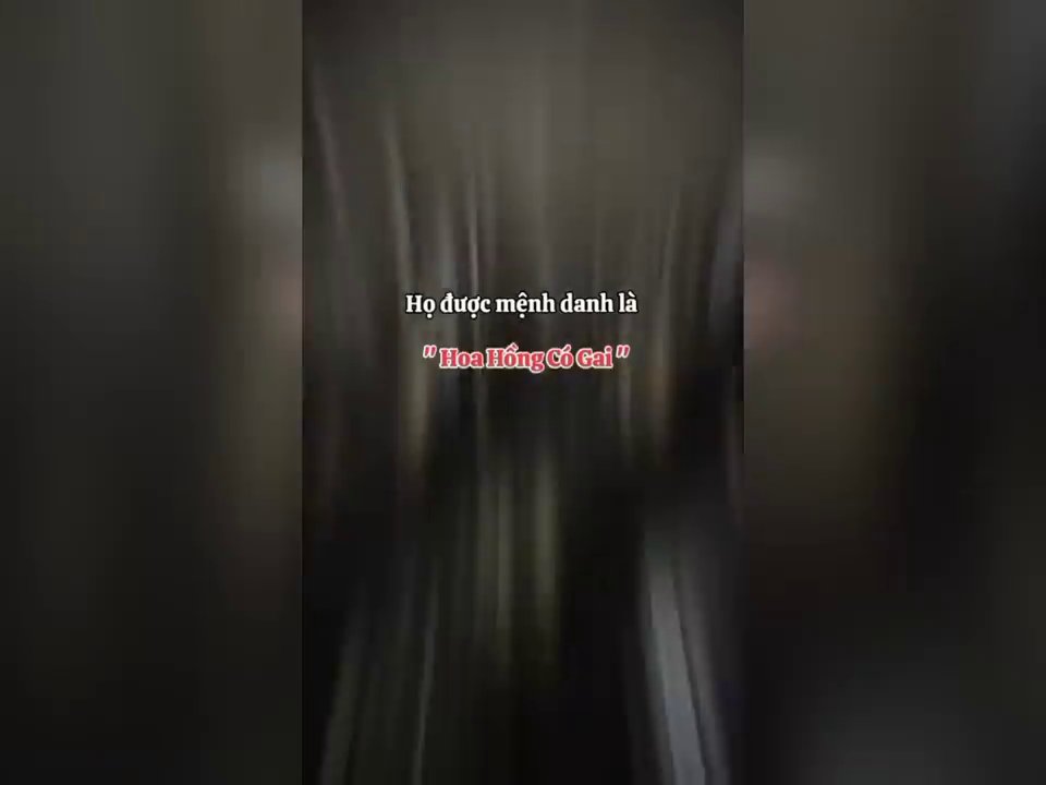 A dynamic, time-lapse photograph of city lights at night, creating streaks and circles that visualize "spinning like a city."