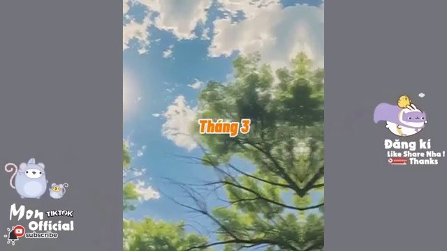 Hình ảnh minh họa một cặp đôi hạnh phúc bên nhau, tượng trưng cho "chồng tương lai".