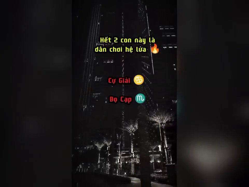 Cảnh bãi biển thành phố về đêm với hàng cọ, gợi liên tưởng đến sự bí ẩn của Cự Giải và Bọ Cạp.