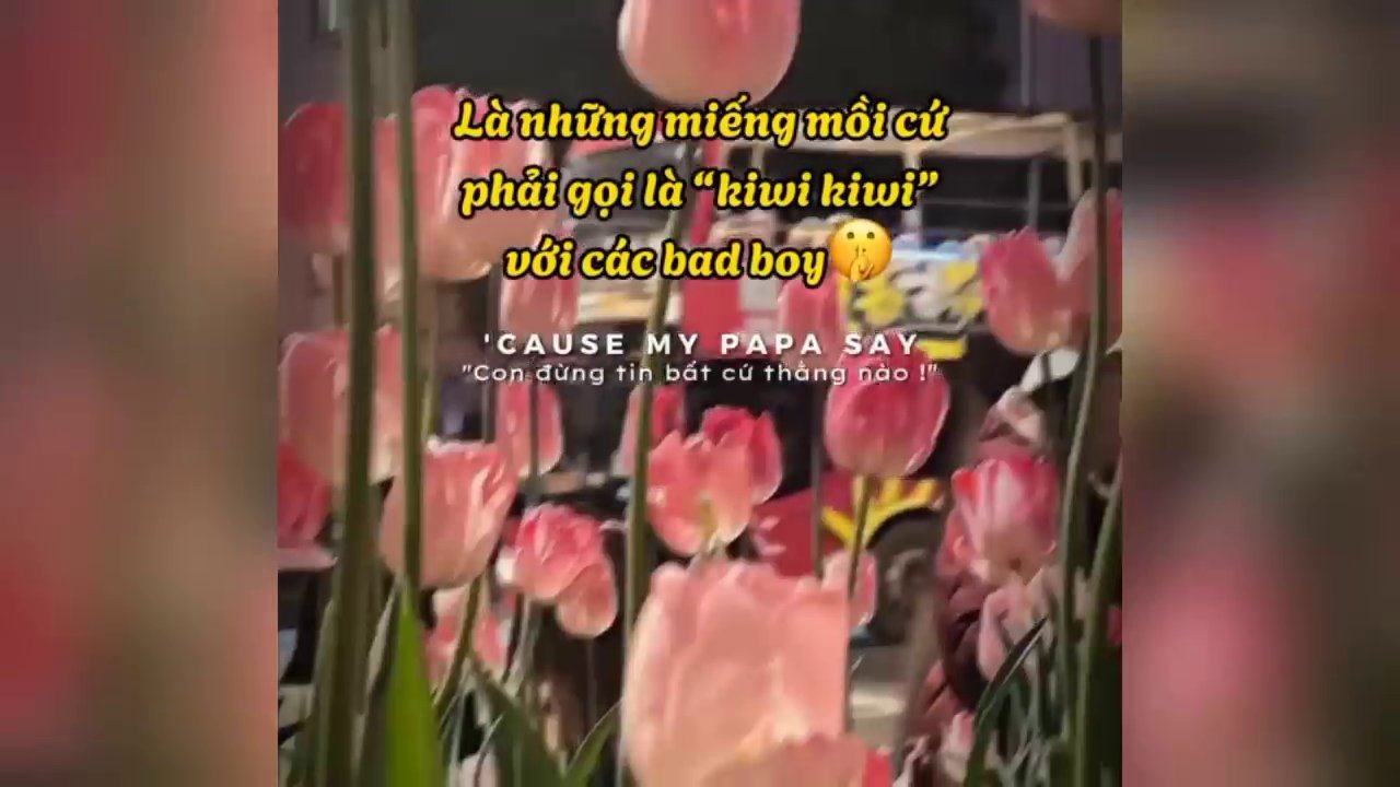 Khung hình tháp Eiffel giới thiệu ba combo cung hoàng đạo siêu việt.