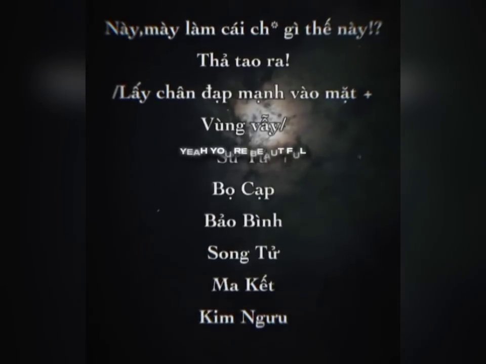 Hình ảnh minh họa cho cảm giác lạc lõng, thất lạc được gợi lên từ câu "Lá vừa nơi anh lạc".