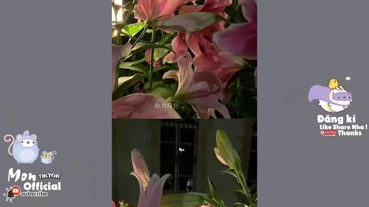 Chỉnh Độ Xe Tháng Sinh: Bí Quyết An Toàn Và Tốc Độ Từ Tay Nghề Chuyên Nghiệp 5 Khoảnh khắc chủ xe và kỹ thuật viên trao đổi, bắt tay với nụ cười, thể hiện sự tin cậy.