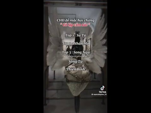 Khung cảnh đường phố u ám lúc hoàng hôn, đại diện cho vẻ đẹp bí ẩn và đầy thu hút của "Bông hồng đen".